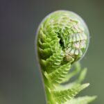 サンプルブログ